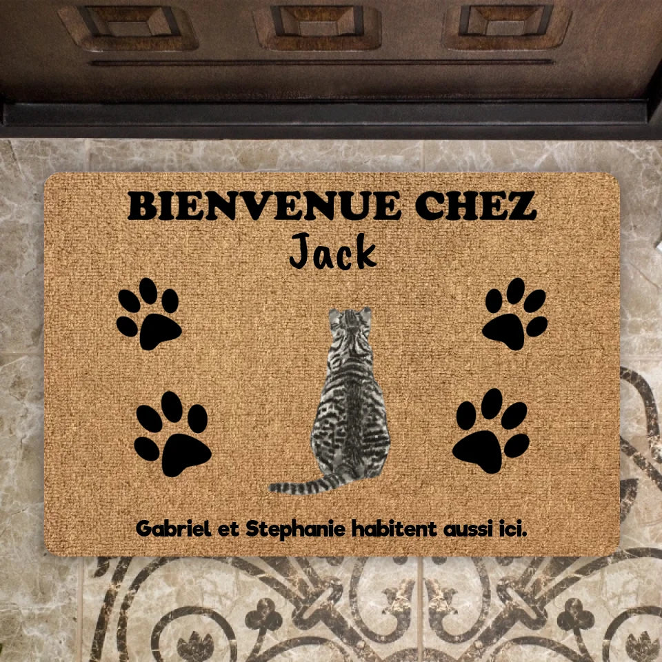 Paillasson Personnalisé - "Bienvenue Chez", Paillasson Chat, Tapis Chat