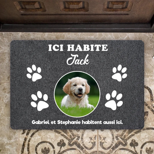 Ici Habite - Photo Téléchargée - Chien, Chat Paillasson Personnalisé